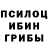 Псилоцибиновые грибы прущие грибы ResonantInsanity