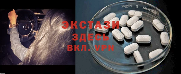 гидра Осинники